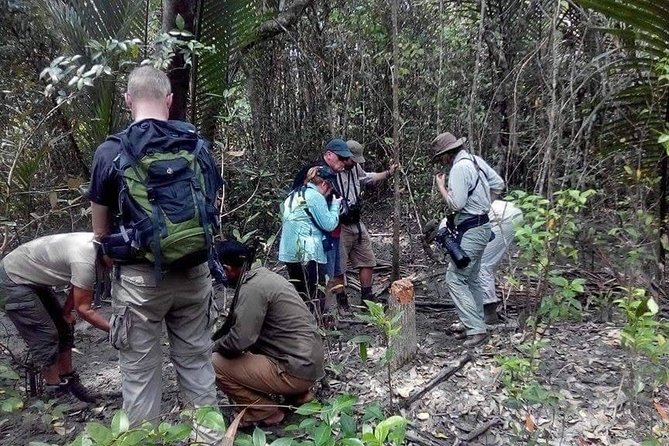 Dive Deep Into the Wild Wonders of Sundarban. - Navigating the Intricate Canals of Sundarban