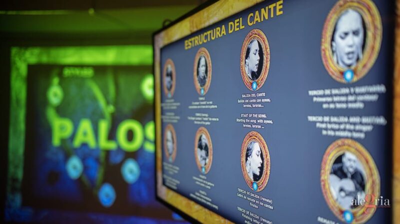 Dive In and Discover: Flamenco in an Interactive Journey - Guides Insights