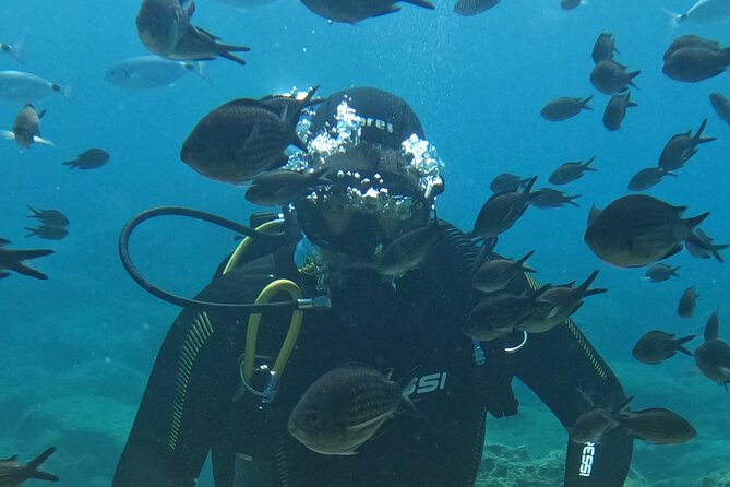 Dive The Rock (Scuba Diving Experience in Protaras) - About Your Stay
