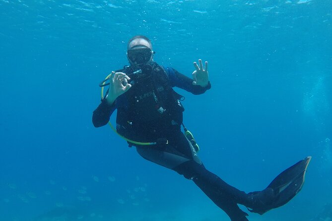 Dive The Rock (Scuba Diving Experience in Protaras) - Stunning Mediterranean Scenery