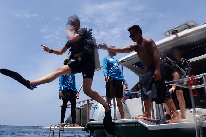 Dive Trip Experience in Koh Tao - Pricing and Inclusions