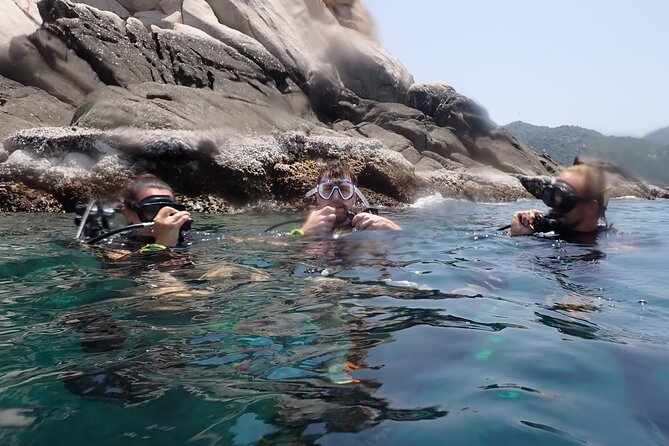 Dive Trip Experience in Koh Tao - Booking Process Explained