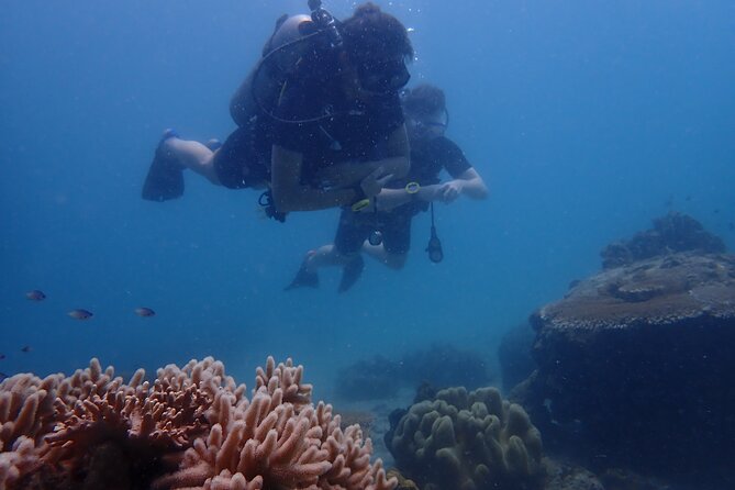Dive Trip Experience in Koh Tao - Overview of Dive Trip