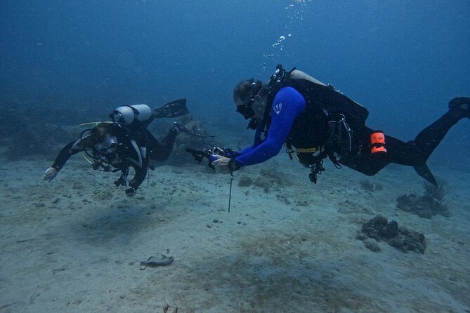 DiveCarib - An Eco-Friendly Certified Diver Trip in Antigua - Activity Details