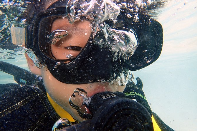 DiveGurus -Scuba Diving for Kids(Ages 6-11yrs) - Meeting and Pickup Information