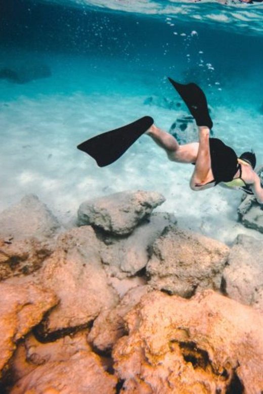 DiveSnap Underwater Sports Thrills:Lantern Point & P31 Wreck - Hidden Beaches and Snorkeling Spots