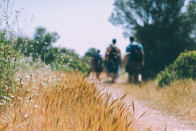 Divine Delphi & Ancient Trail Hike Private Day Trip - Inclusions
