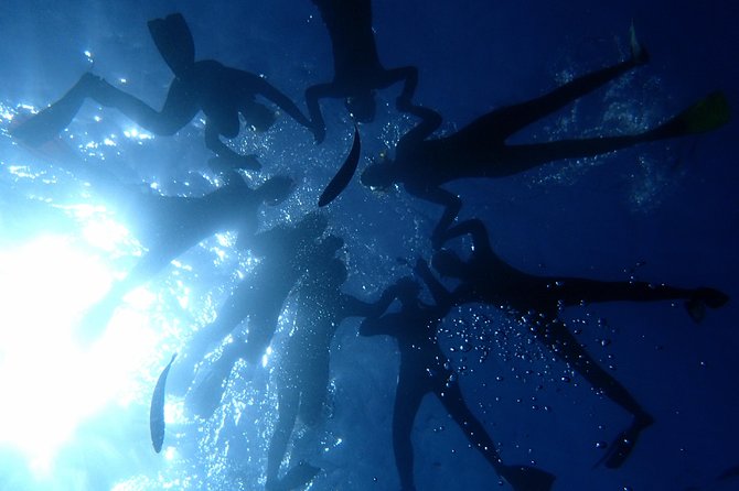 Diving Adventures - Boat and Shore Diving - Tour Details and Inclusions