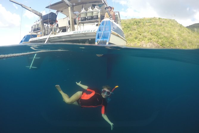 Diving and / or Snorkeling Day From a Catamaran - Accessibility and Additional Information