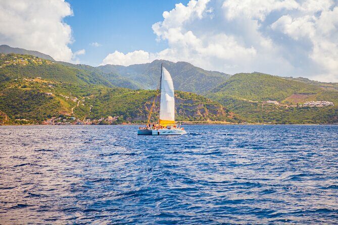 Diving and Snorkeling Catamaran Private Tour in Martinique - Introduction