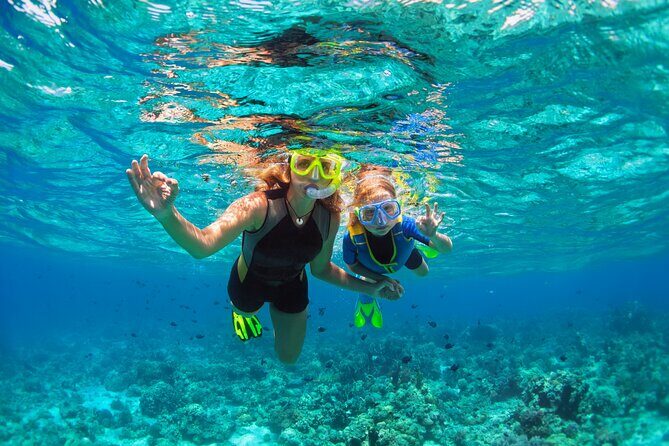 Diving and Snorkeling Catamaran Private Tour in Martinique - The Sum Up