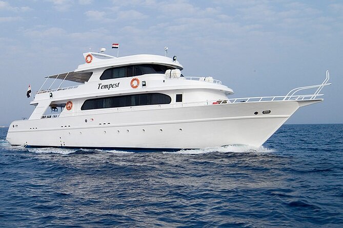 Diving And Snorkeling To Ras Mohamed And White Island By VIP Boat - Diving and Snorkeling Activities