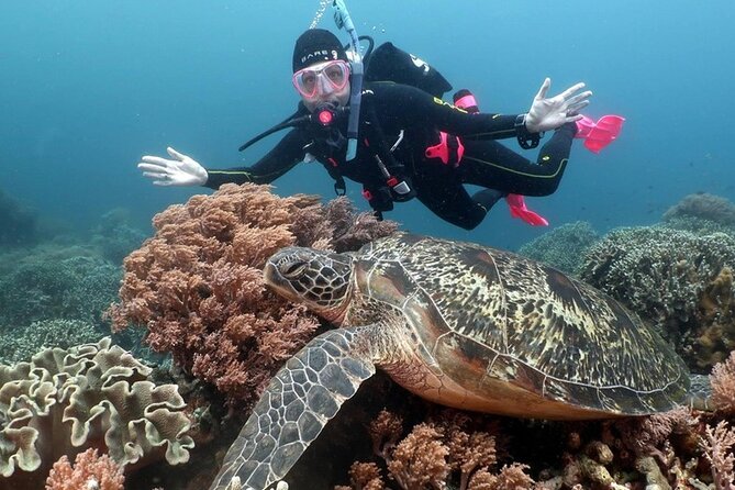 Diving And Snorkeling To Ras Mohamed And White Island By VIP Boat - Additional Considerations