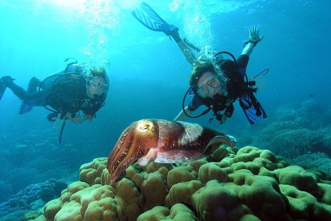 Diving At Galleon and Chimney From Marmaris - Key Points