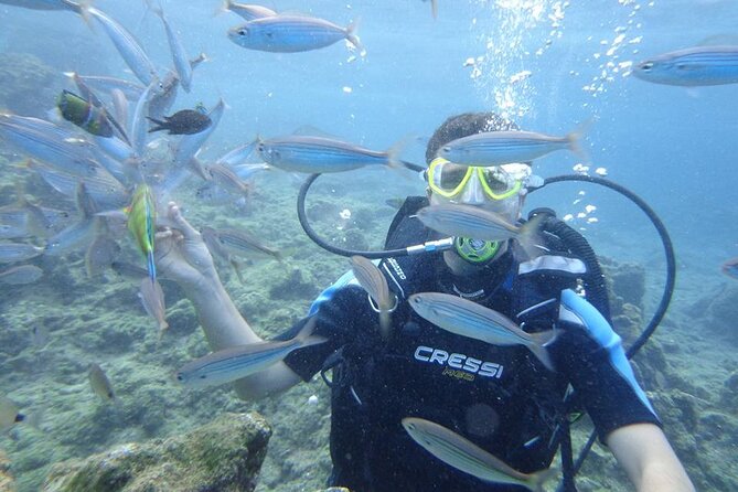 Diving At Galleon and Chimney From Marmaris - Support for Different Skill Levels