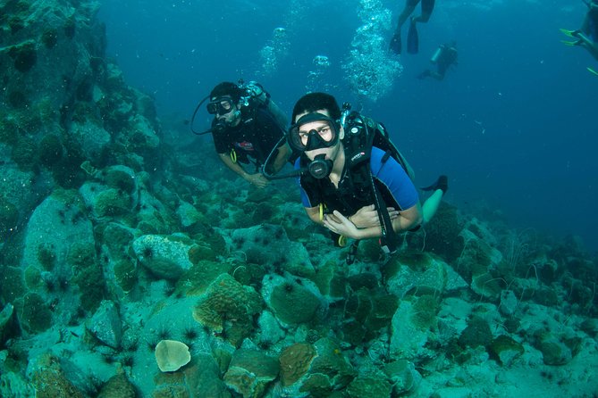 Diving at Koh Chang, Daytrip With 2 Dives - Transportation