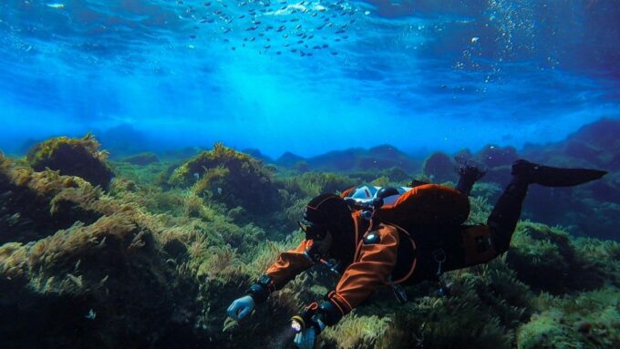 Diving at Lanzarote - 2 Guided Dives for Certified Divers - Small Group Experience