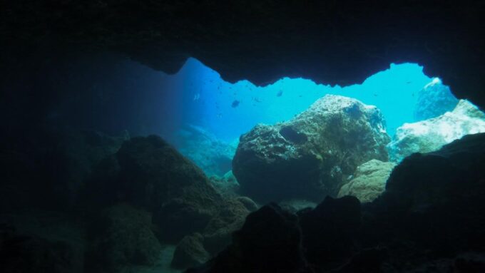 Diving at Lanzarote - 2 Guided Dives for Certified Divers - Local Recommendations