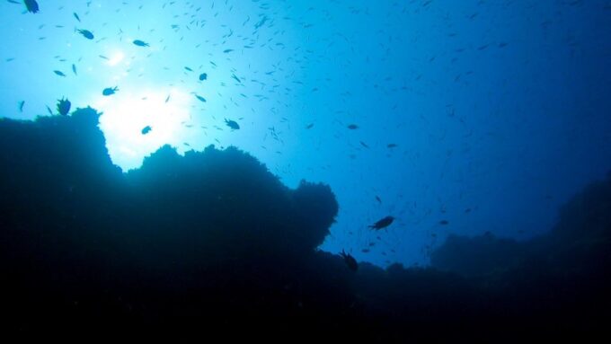 Diving at Lanzarote - 2 Guided Dives for Certified Divers - Frequently Asked Questions