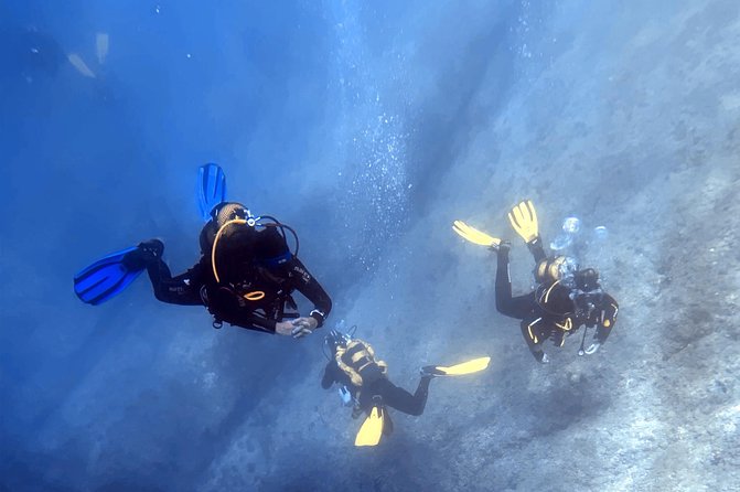 Diving Baptism in the Marine Reserve of Cabo Tiñoso - Pricing Details