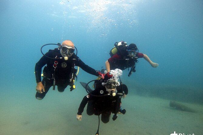 Diving Baptism in the Marine Reserve of Cabo Tiñoso - Booking and Cancellation Policy