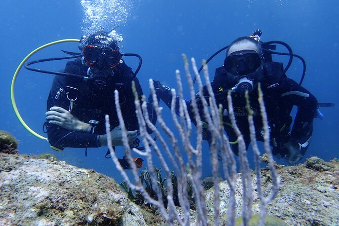 Diving Baptism in the Montgrí Natural Park - Participation Requirements and Restrictions
