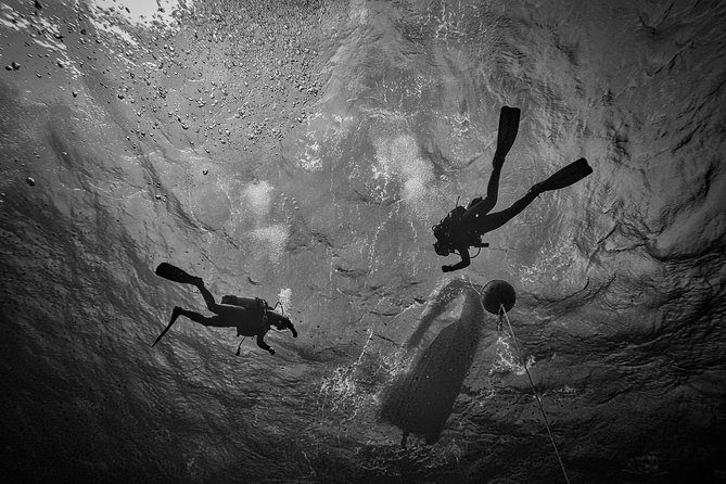 Diving Baptism With Cylinders (Introdive) at the Capo Carbonara Marine Protected Area - Exceptional Instructors