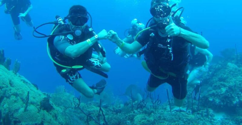 Diving Catalina Island From Punta Cana - Transportation and Pickup