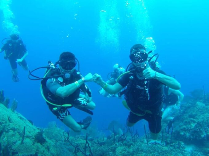 Diving Catalina Island From Punta Cana - Itinerary and Availability