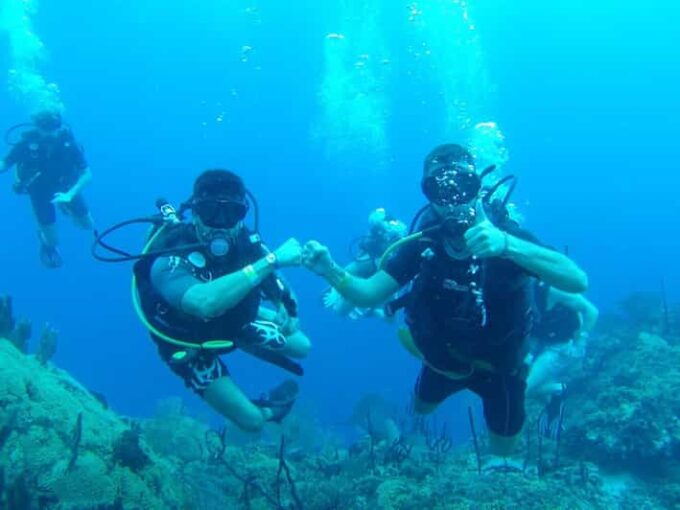 Diving Catalina Island From Punta Cana - Recap
