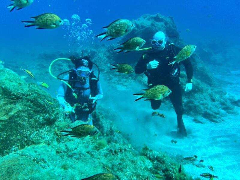Diving Course for Beginners in Turtle Area Tenerife - Diving Experience