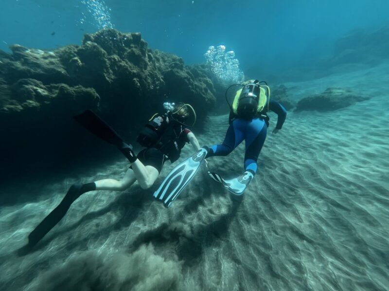 Diving Course for Beginners in Turtle Area Tenerife - Included Amenities