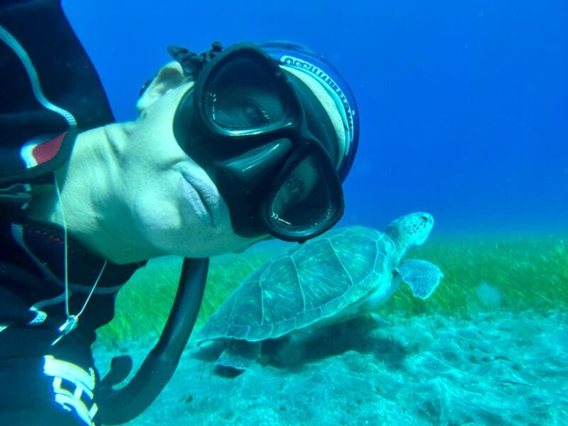 Diving Course for Beginners in Turtle Area Tenerife - Meeting Point and Location