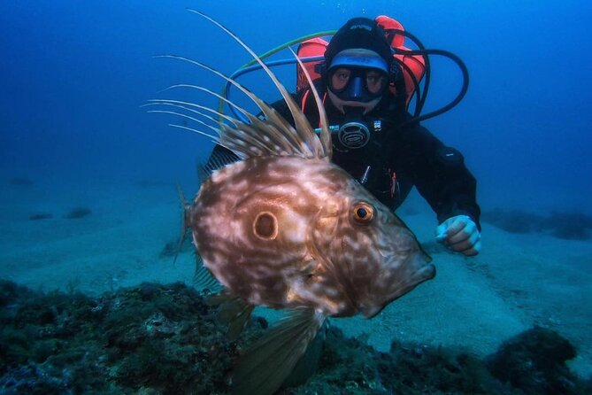 Diving Course With PADI Certification in Costa Brava - Inclusions and Requirements