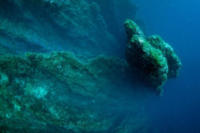 Diving Day Tour With 2 Dives - Health and Accessibility