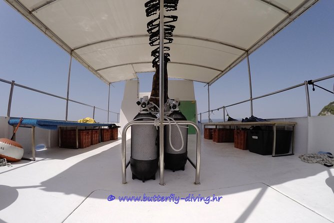 Diving Day Tour With 2 Dives - Price Guarantee