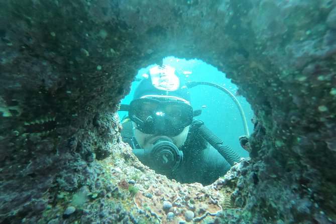 Diving Excursion in Quintay - Key Points