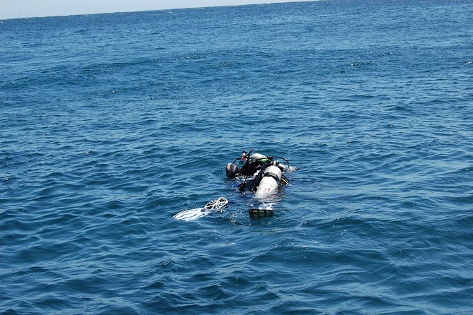 Diving Excursion in Quintay - Booking and Cancellation