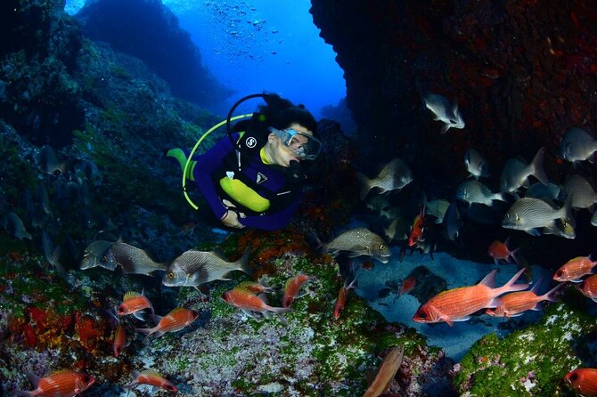 Diving Experience in Fernando De Noronha - Importance of Environmental Preservation