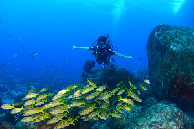 Diving Experience in Fernando De Noronha - Preparing for the Diving Adventure