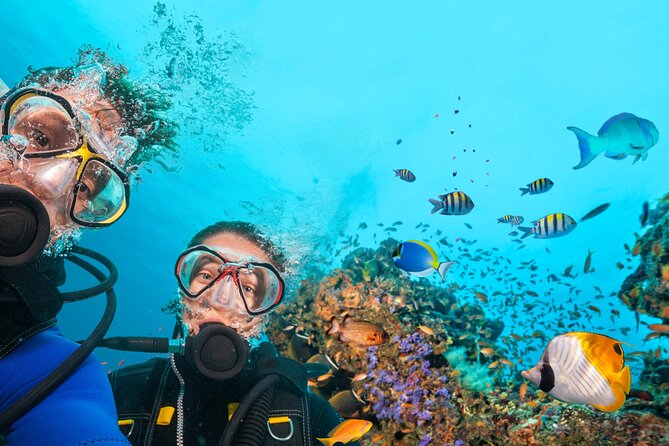 Diving Experience in Polignano a Mare With Certification - About Your Stay