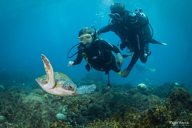 Diving for Beginners and Accredited - Búzios RJ - Equipment Rental and End Point