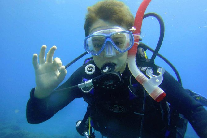 Diving for Beginners by Boat From Puerto Colon - Key Points