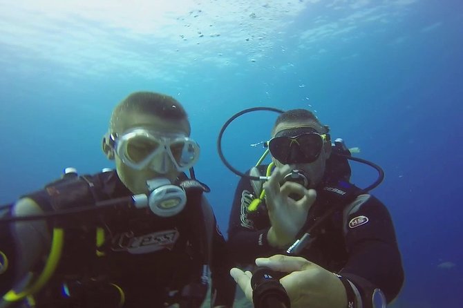 Diving for Beginners by Boat From Puerto Colon - Requirements and Recommendations