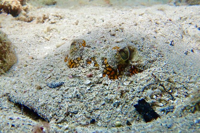 Diving for Certified Divers, 2 Tanks Sosúa Bay - Booking Information