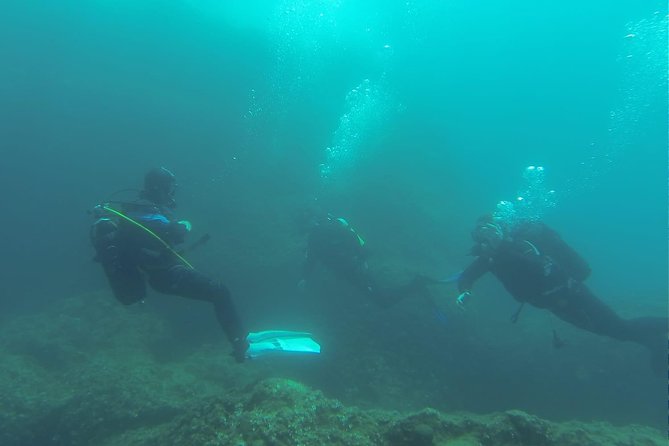 Diving for Patented Divers - Meeting Point