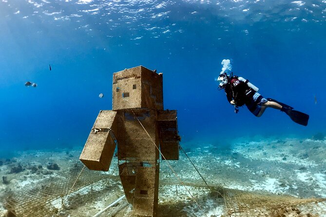 Diving For People Without Experience - Explore Cozumels Underwater Wonders