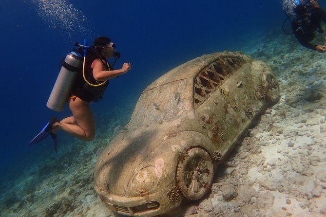 Diving in Cancun for Certified Divers | 2 Dives | All Inclusive - Highlights of the Tour