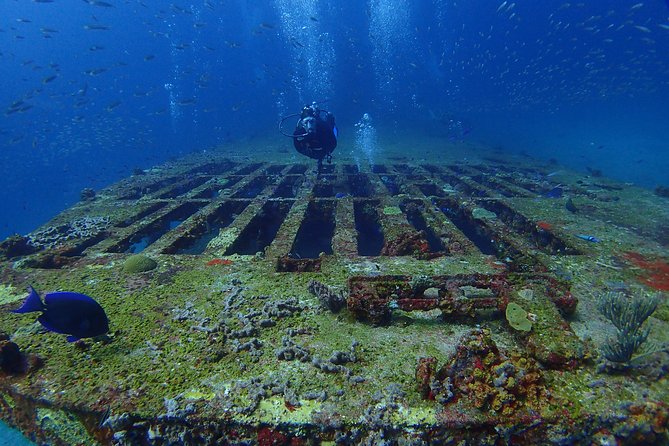 Diving in Cancun for Certified Divers | 2 Dives | All Inclusive - Meeting Point and Transportation