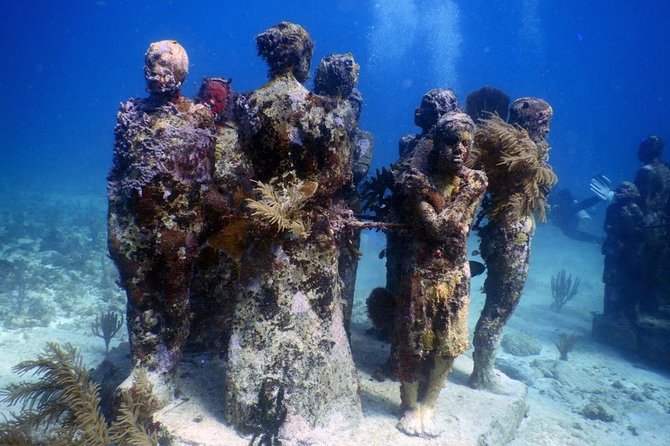 Diving in Cancun Underwater Museum of Art - Meeting and Pickup Details